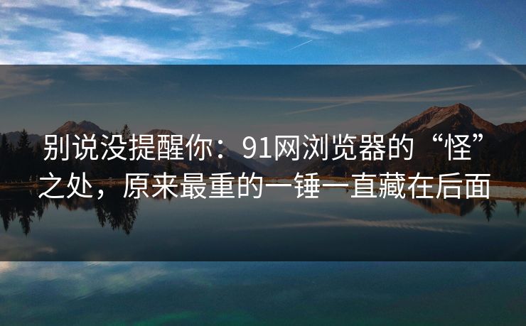 别说没提醒你：91网浏览器的“怪”之处，原来最重的一锤一直藏在后面
